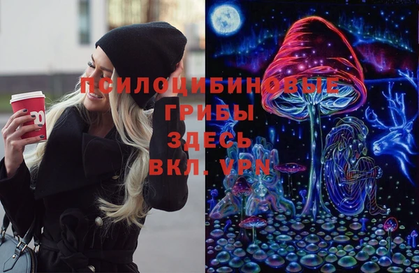 ГАЛЛЮЦИНОГЕННЫЕ ГРИБЫ Кодинск