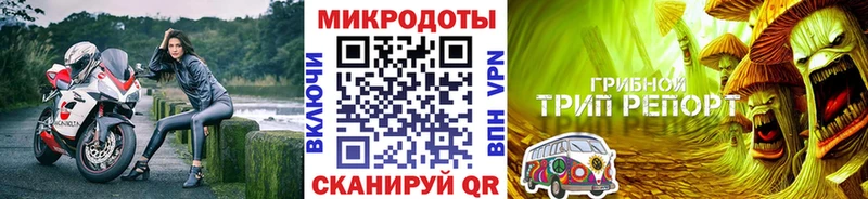 Псилоцибиновые грибы MAGIC MUSHROOMS  Купить закладки  Лермонтов 